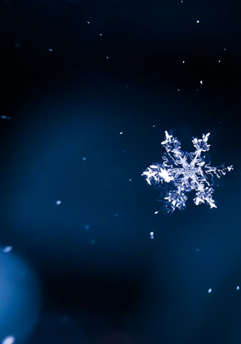 Water - Acupuncture Classical Five-Element Graphic showing circle of The Five Element of Life Acupuncture: water - image with snowflake - frozen water
